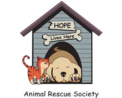 https://staging.bigsteelbox.com/content/uploads/2019/10/Hope-lives-here-edmonton-logo-250.jpg