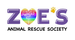 https://staging.bigsteelbox.com/content/uploads/2019/10/Zoes-animal-rescue-edmonton-logo-250.jpg